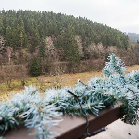 Waldloft * Winterberg